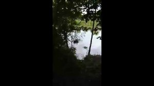 Место рыбалки река Медведица