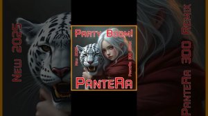 PanteRa - Party Boom! 2025 (PanteRa 3DO Remix)