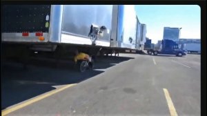 трёки на велосипедах.mp4