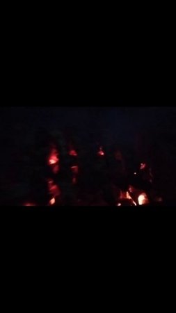 ночной шашлык, или сгорел или приготовился