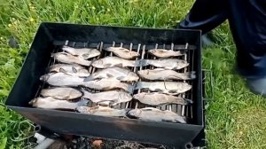 Копчение ЛИНЯ в деревне