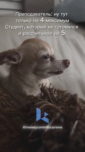 За красивые глазки тут 5 не получишь, даже если хочется 😉