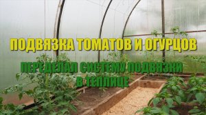 Подвязка томатов и огурцов в теплице. Пробую новый способ подвязки