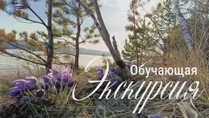 Обучающая экскурсия по ГБПОУ ИО БТТТ