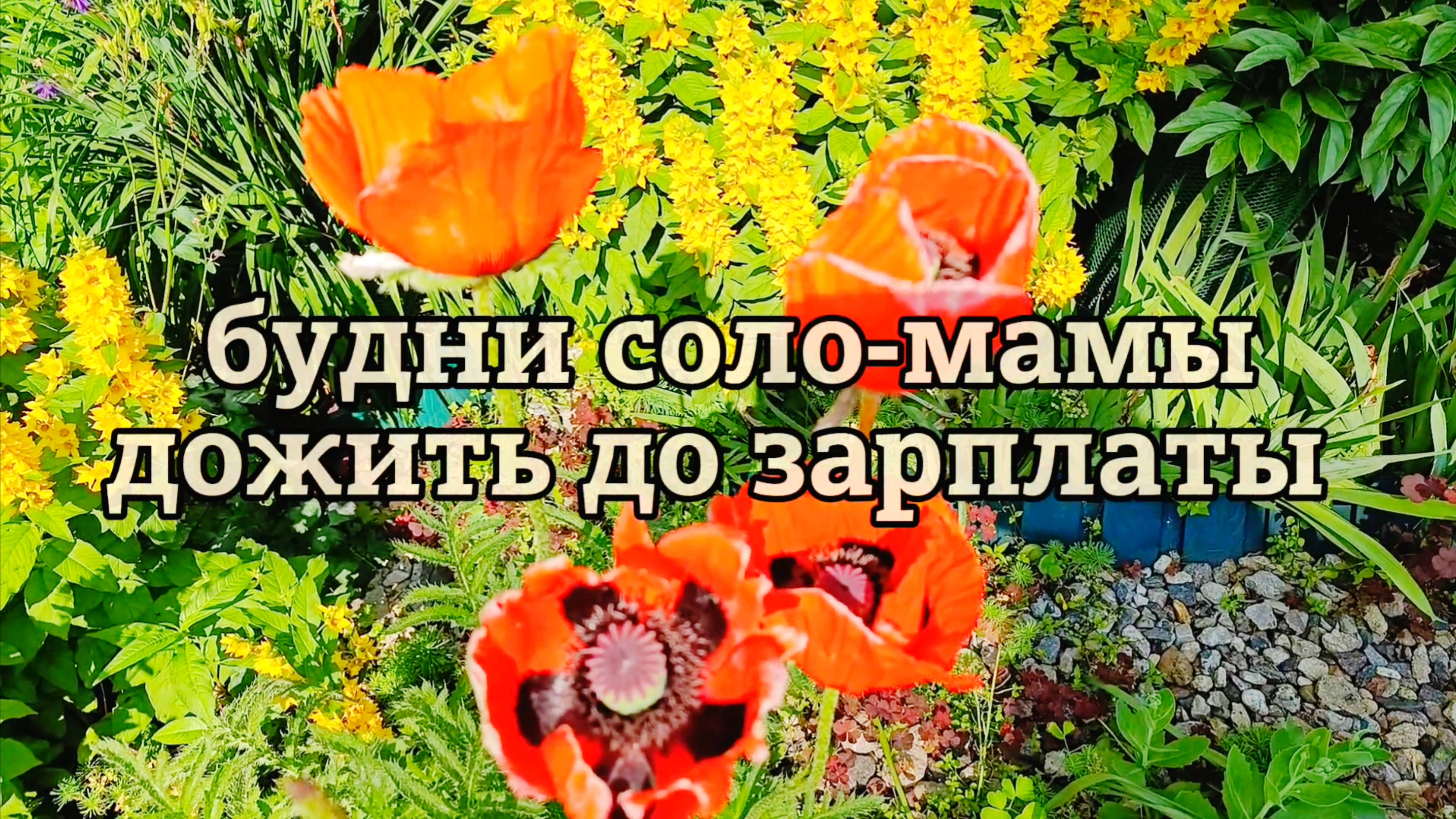 ОДНА С ДВУМЯ ДЕТЬМИ КАК ДОЖИТЬ ДО ЗАРПЛАТЫ