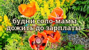 ОДНА С ДВУМЯ ДЕТЬМИ КАК ДОЖИТЬ ДО ЗАРПЛАТЫ