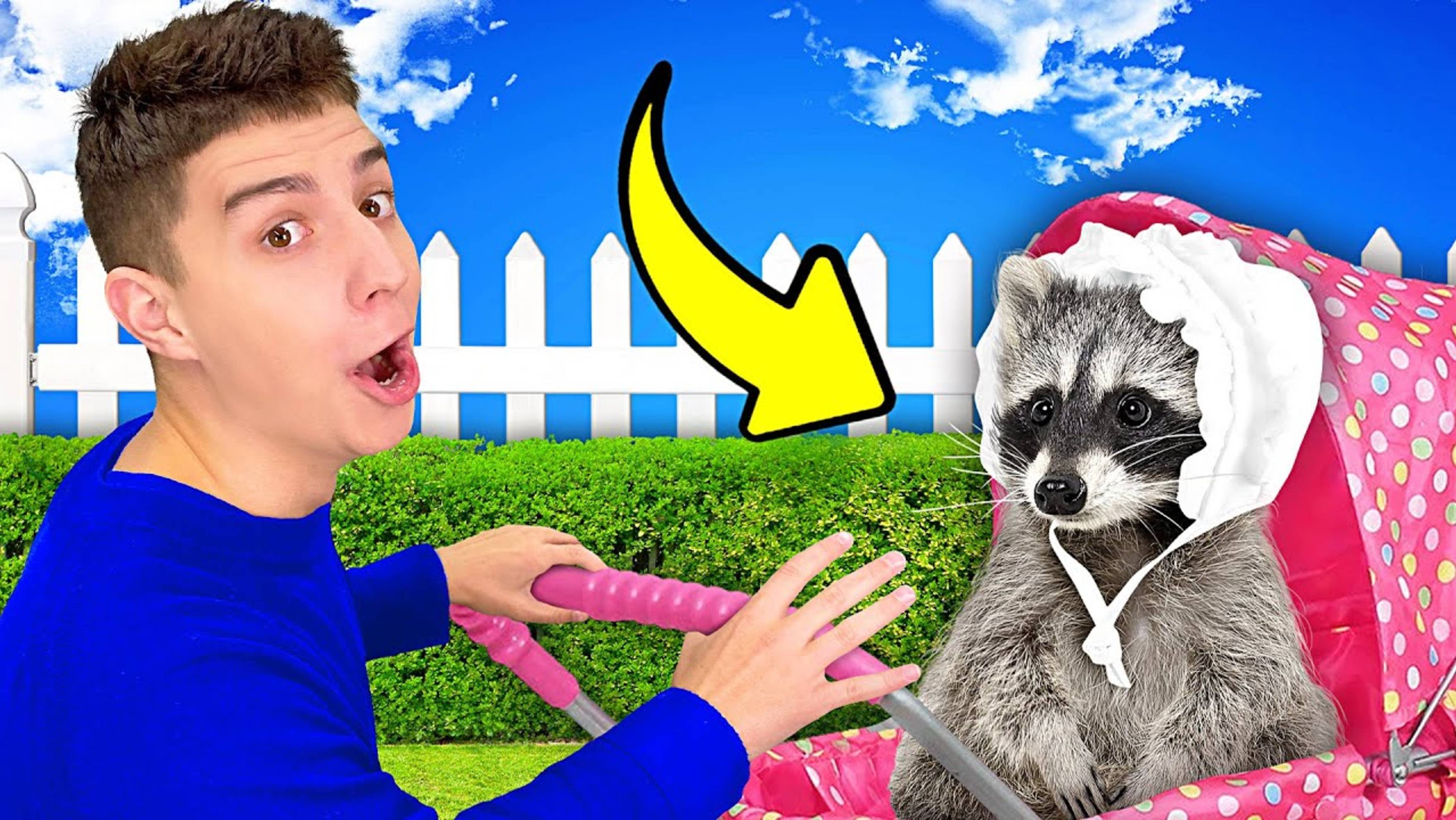 А4 : Стали НЯНЯМИ для ЖИВОТНЫХ на 24 Часа ! ВЛАД А4