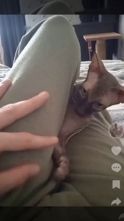 живу я клёво