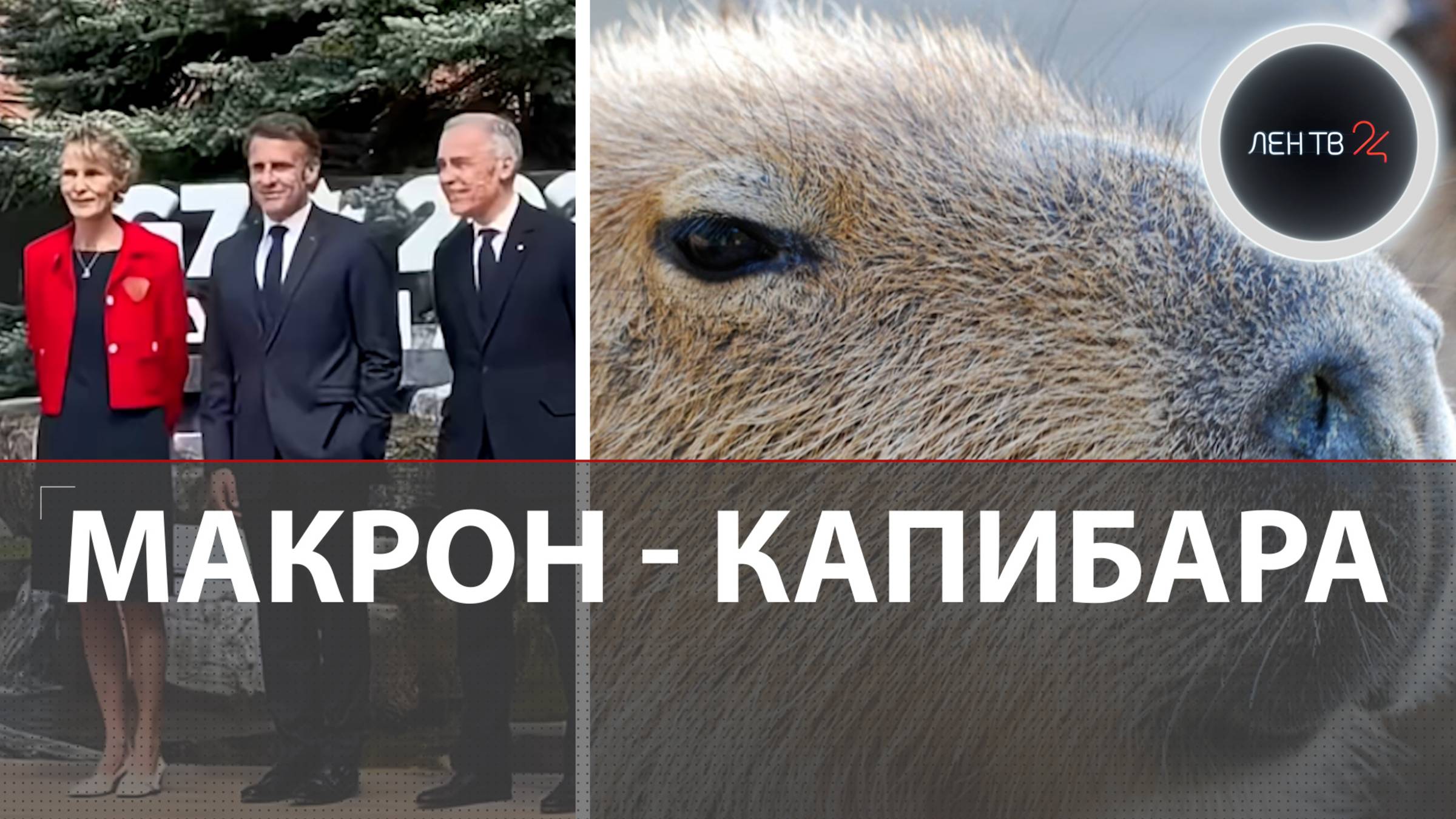 Макрон и капибара: президент Франции выложил ролик с саммита G7 под русскую песню