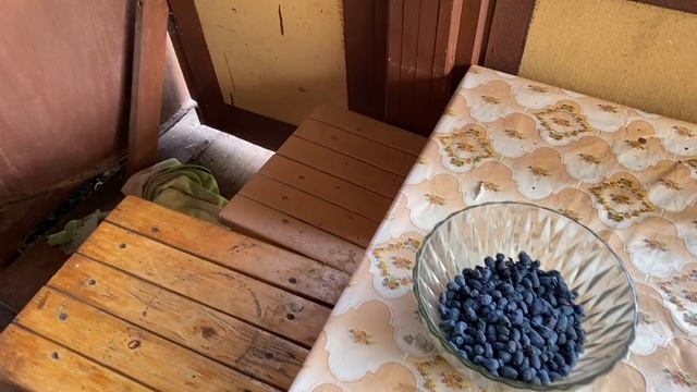 СНТ дачный дом 270.  3,5 сотки, дача 30 м2,