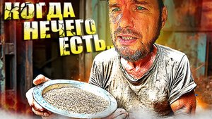 Деревенская жизнь: распиленная дверь и проблемы с кормом!