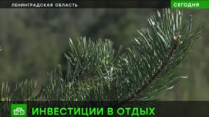 Развитие туризма в Ленинградской области.