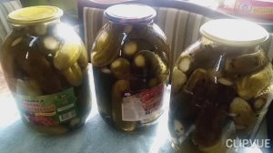 Что делать если помутнел рассол в огурцах! Спасаем огурцы!