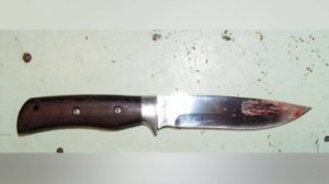 Конфликт на даче