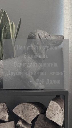 О болях и решениях для малого бизнеса, мы создали канал для предпринимателей.