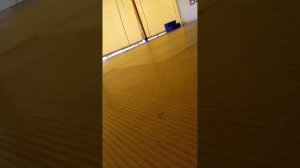 1000011289.mp4