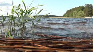 Селигер Нилова Пустынь 2