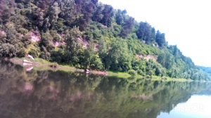 Горы, леса и реки.