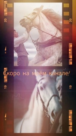 БРАСЛЕТ 2