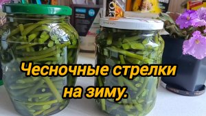 ЧЕСНОЧНЫЕ СТРЕЛКИ НА ЗИМУ 🧄 РЕЦЕПТ МАРИНОВАННЫХ ЧЕСНОЧНЫЕ СТРЕЛОК НА ЗИМУ.