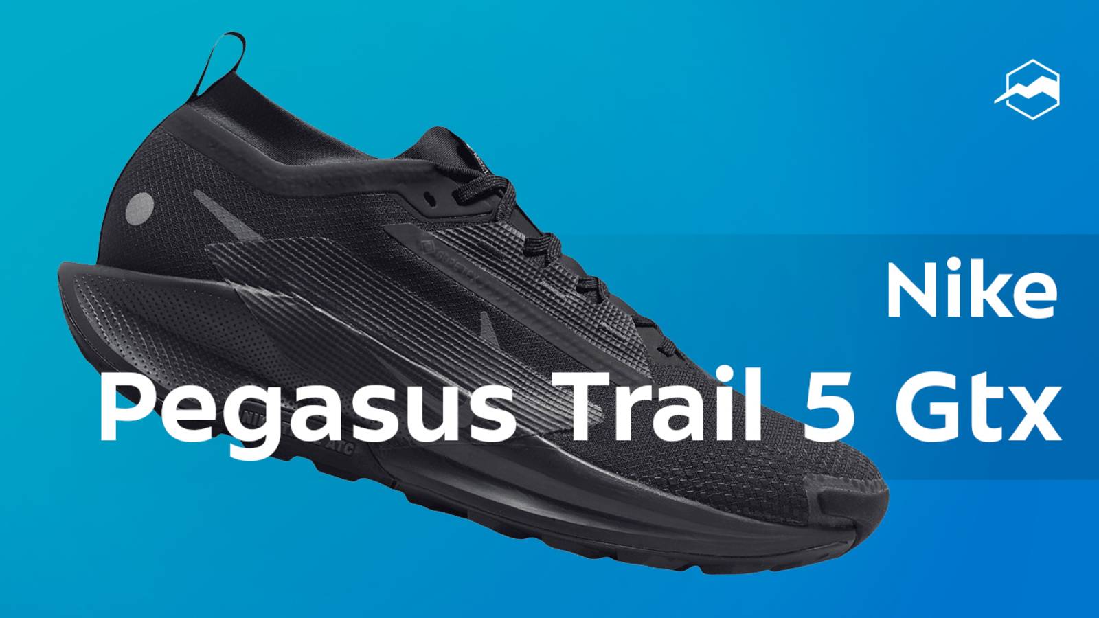 Кроссовки Nike Pegasus Trail 5 Gtx