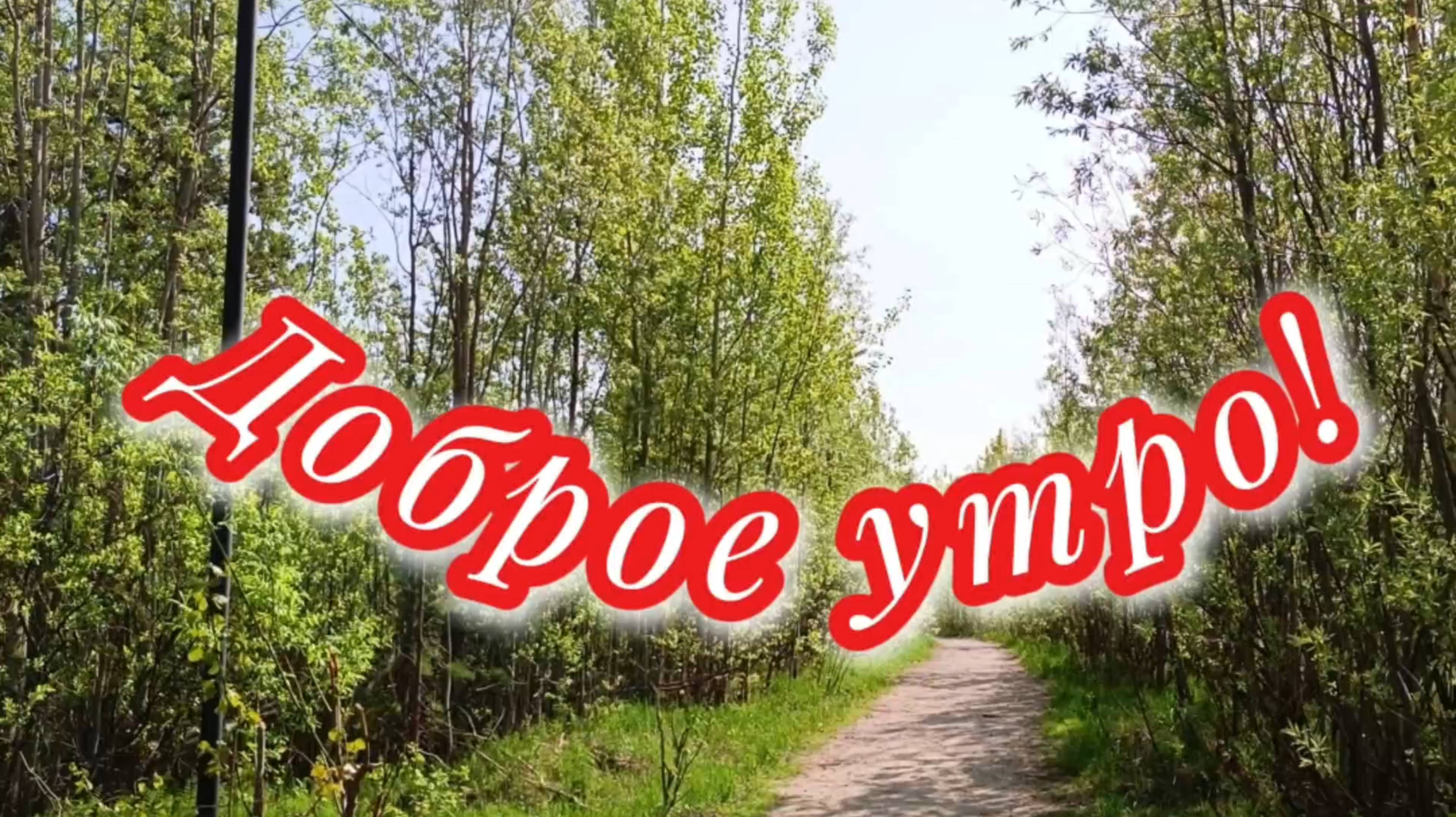 Доброе утро. Встречаем новый день.