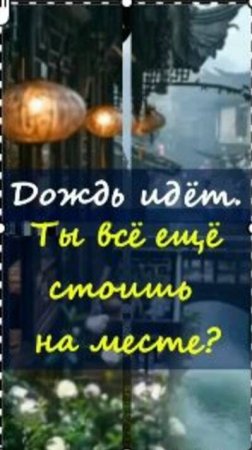 🌧 Дождь идёт, мудрость приходит капля за каплей.📲 Telegram: https://t.me/marina_pro_bizz