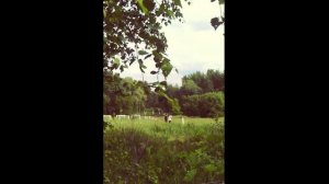 Момент лета.#статус