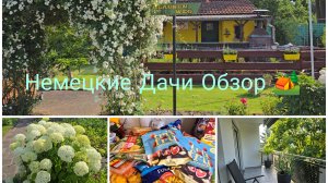 vlog 🇩🇪 Закупилась 🛍🛒Дачи в Германии какие они на Самом деле 🌺