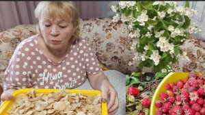 На разведку за опятами и конечно же заготовки на зиму//жизнь в деревне 🏡//