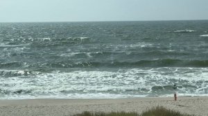 Чилим в Калининграде