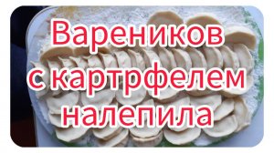Вареников с картофелем налепила