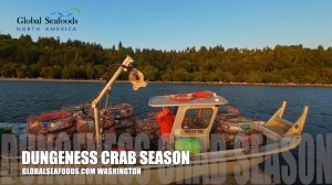 🦀 Скоро открытие сезона ловли краба Dungeness! 🚢