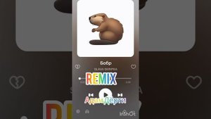 Бобр( ремикс Адама Дëрти)
