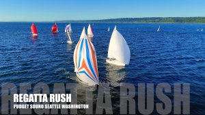 ⛵ Скорость, паруса и соревнование в заливе Пьюджет! 🌊