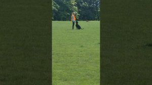 Куфия, RedDog июнь 2025, раздел B 88б