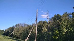 Идём на дачу!