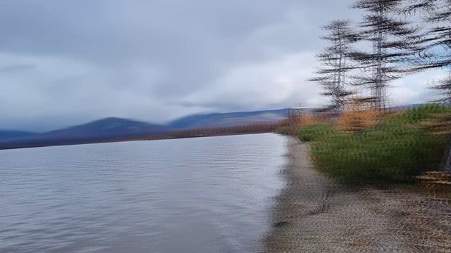 озеро Чистое 2022