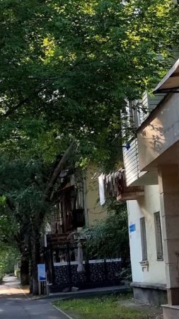 Утро на Жамбыла в Алматы. 18.06.2025