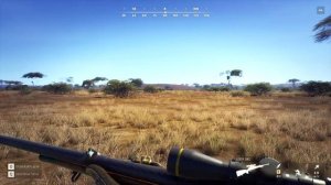 WayOfTheHunter ОХОТА В САВАННЕ***ЛЕВ***