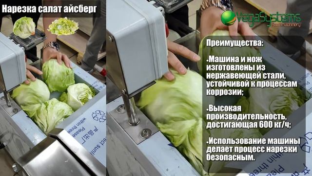 Машина для нарезки кубиком Vega Cabbage Dicer H500 I Нарезка салата айсберг
