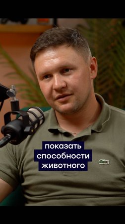 Секреты дрессировки тигров от Ярослава Запашного | Как работают с хищниками в цирке