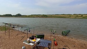 Рыбалка в деревне! #рыбалка #природа #карась #окунь #плотва