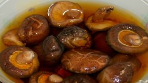 Грибной мисо суп