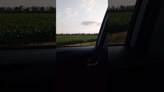 дорога домой