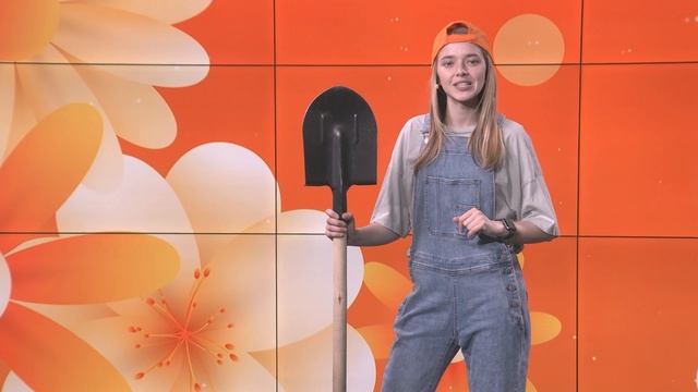 Апельсин. Садовый календарь. 19-06-2025