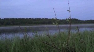 Рыбалка в Архангельской обл.Река Вага.Июнь 2025г.