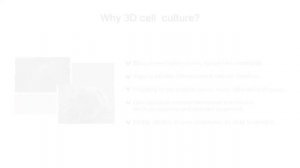 3D культура клеток