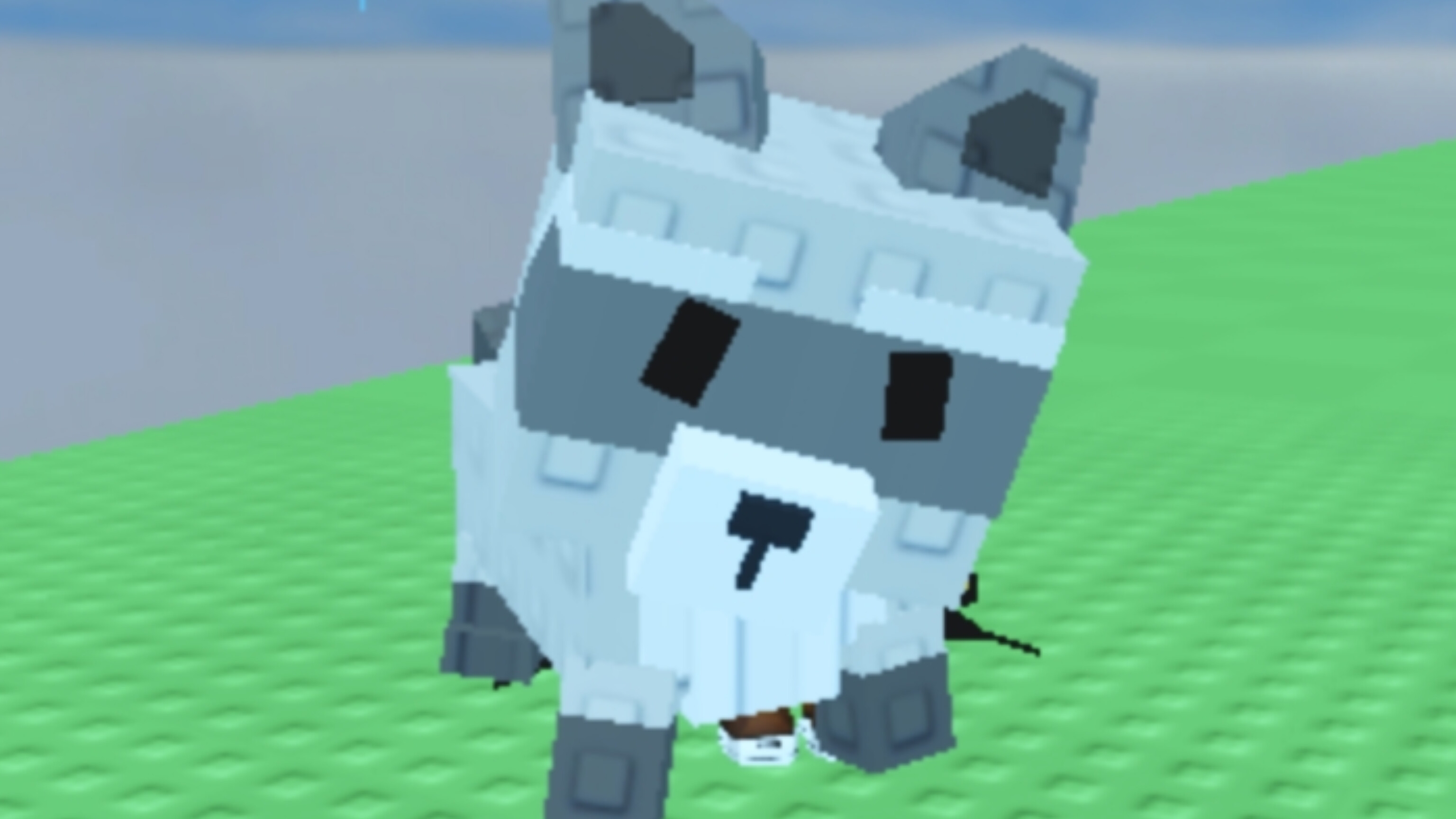 Испытал Енота также и показал лису. смотреть онлайн