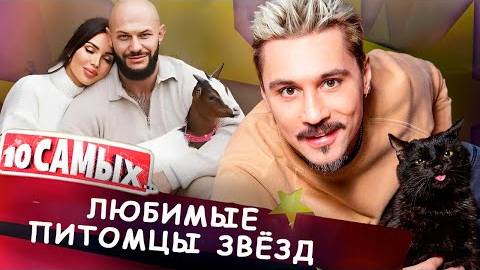 ⚡ Любимые питомцы звёзд.